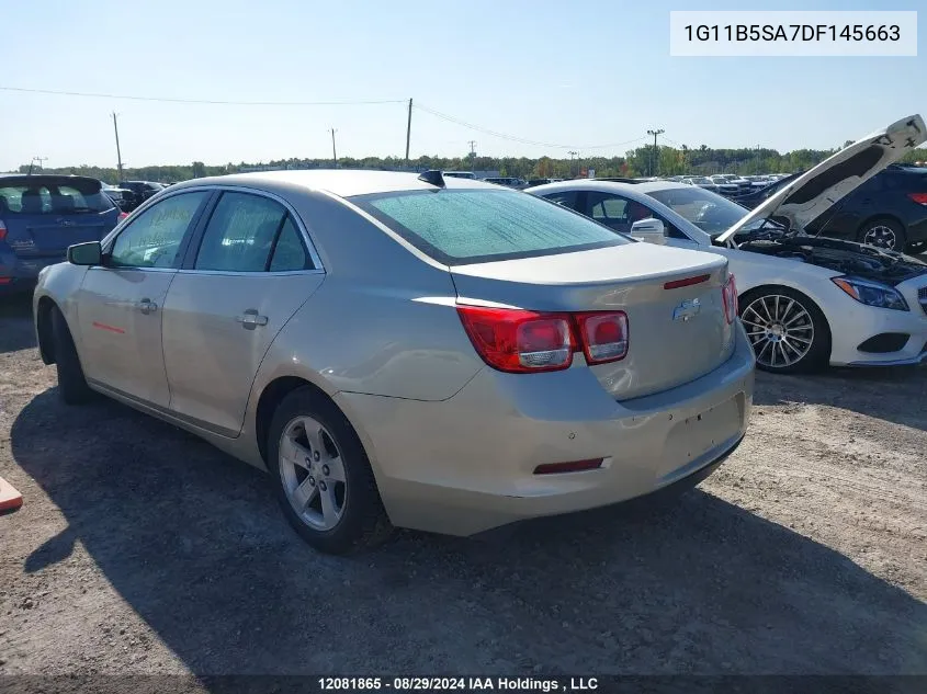 1G11B5SA7DF145663 2013 Chevrolet Malibu