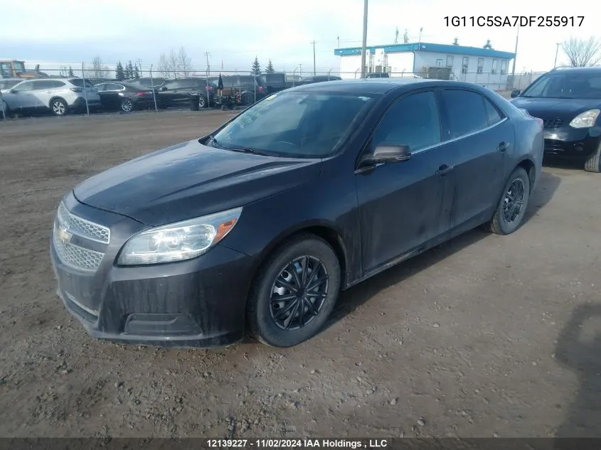 1G11C5SA7DF255917 2013 Chevrolet Malibu