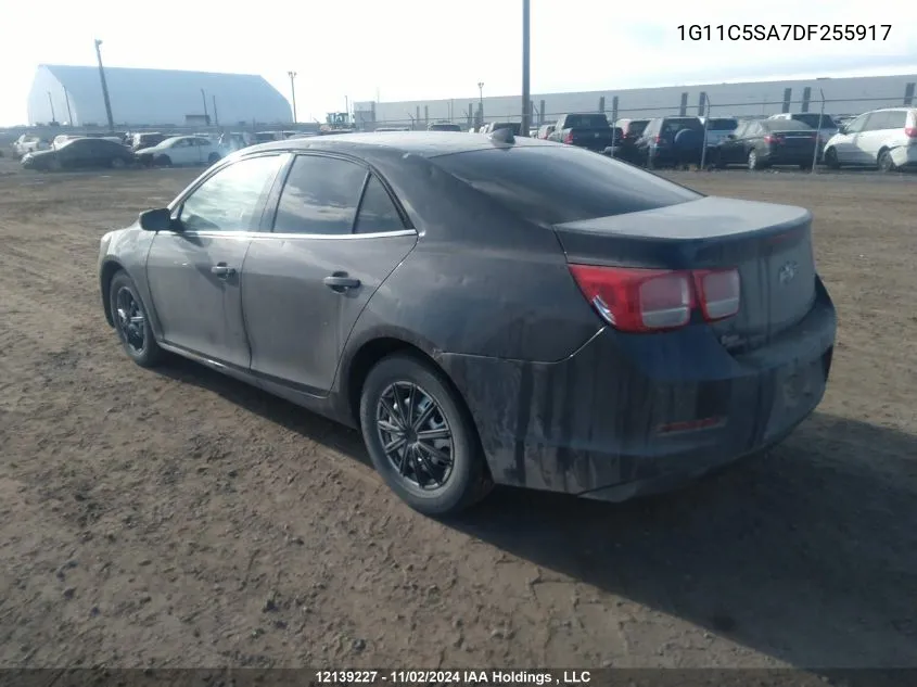 1G11C5SA7DF255917 2013 Chevrolet Malibu