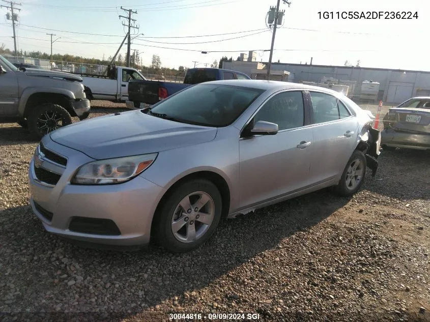 2013 Chevrolet Malibu 1Lt VIN: 1G11C5SA2DF236224 Lot: 30044816