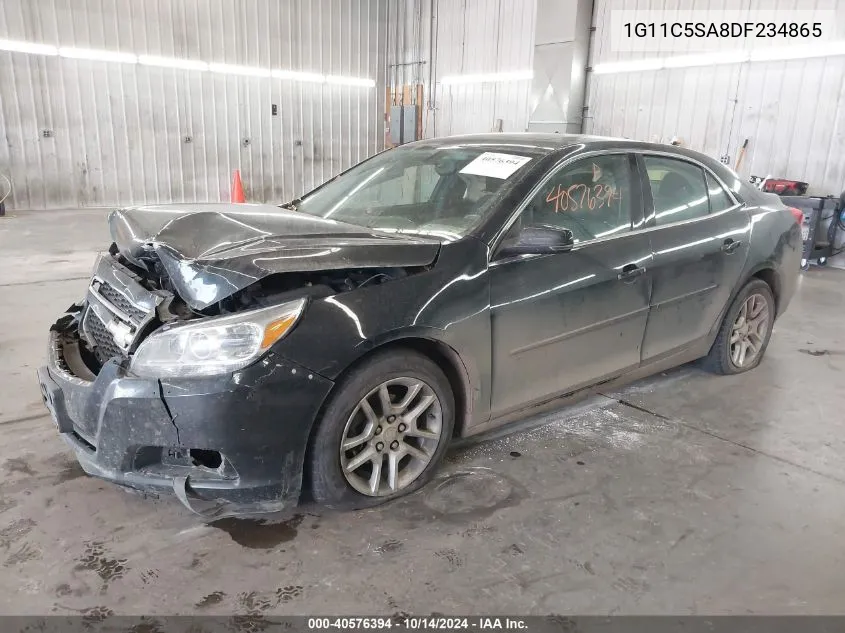 2013 Chevrolet Malibu 1Lt VIN: 1G11C5SA8DF234865 Lot: 40576394