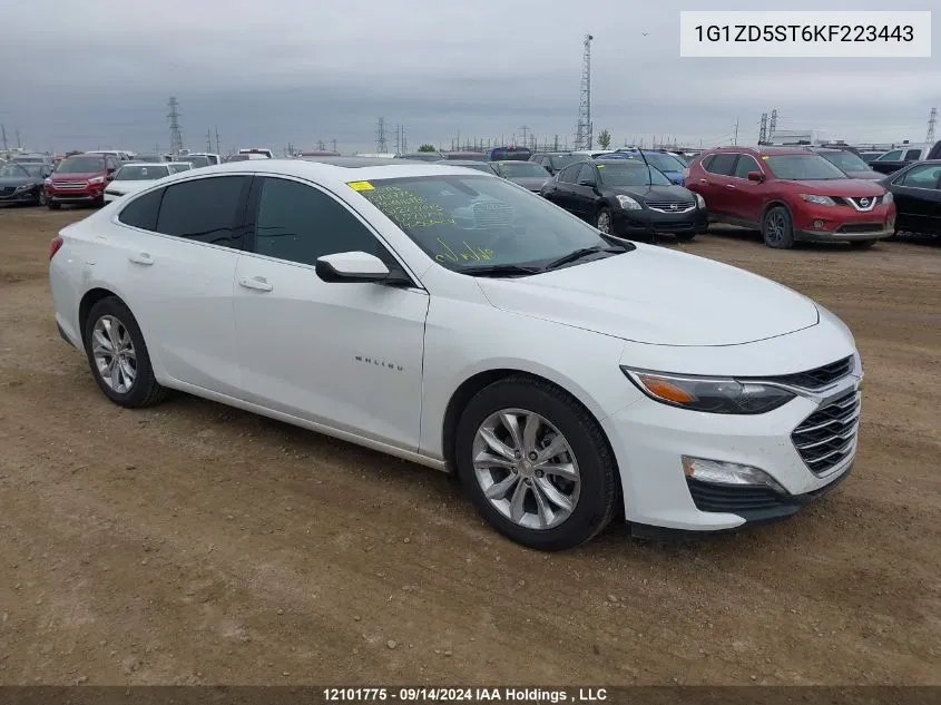 2019 Chevrolet Malibu Lt VIN: 1G1ZD5ST6KF223443 Lot: 12101775