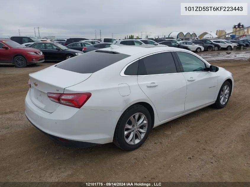 2019 Chevrolet Malibu Lt VIN: 1G1ZD5ST6KF223443 Lot: 12101775