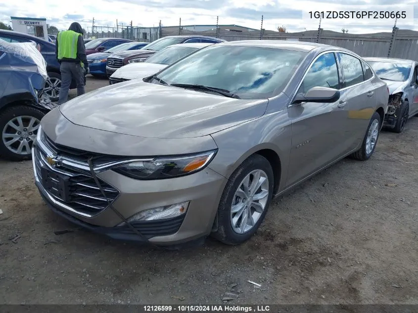 2023 Chevrolet Malibu Lt VIN: 1G1ZD5ST6PF250665 Lot: 12126599