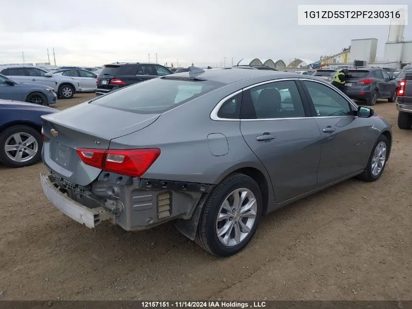 2023 Chevrolet Malibu Lt VIN: 1G1ZD5ST2PF230316 Lot: 12157151