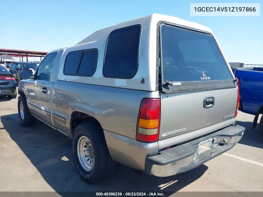 2001 Chevrolet Silverado 1500 Ls VIN: 1GCEC14V51Z197866 Lot: 40396239