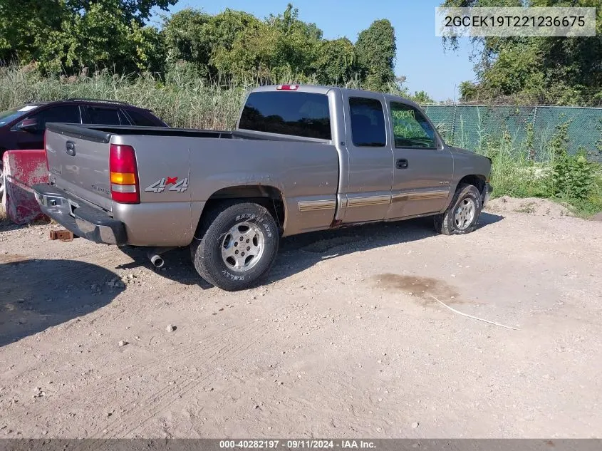 2002 Chevrolet Silverado 1500 Ls VIN: 2GCEK19T221236675 Lot: 40282197