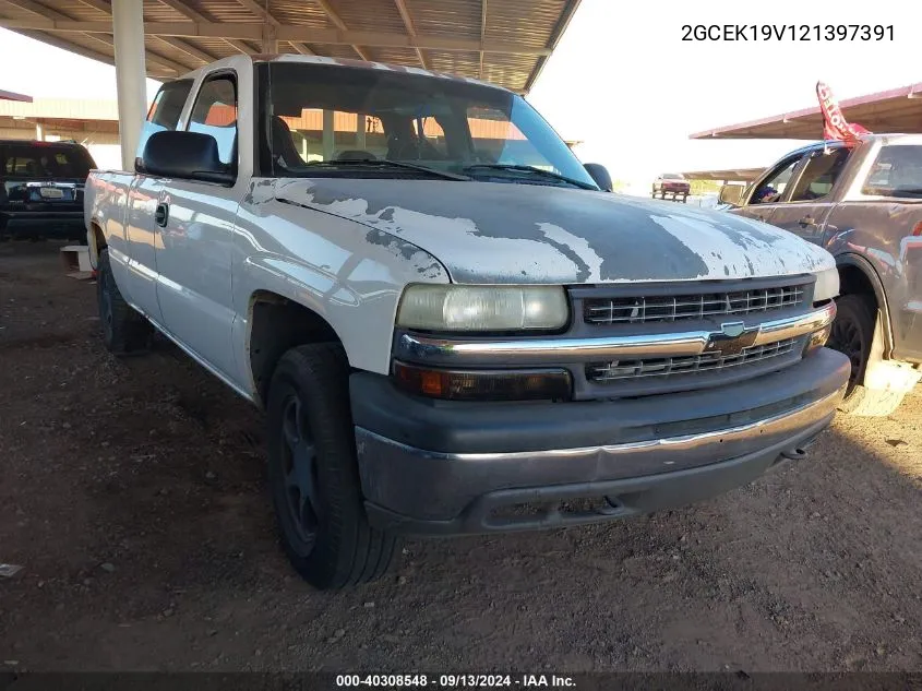 2002 Chevrolet Silverado 1500 VIN: 2GCEK19V121397391 Lot: 40308548