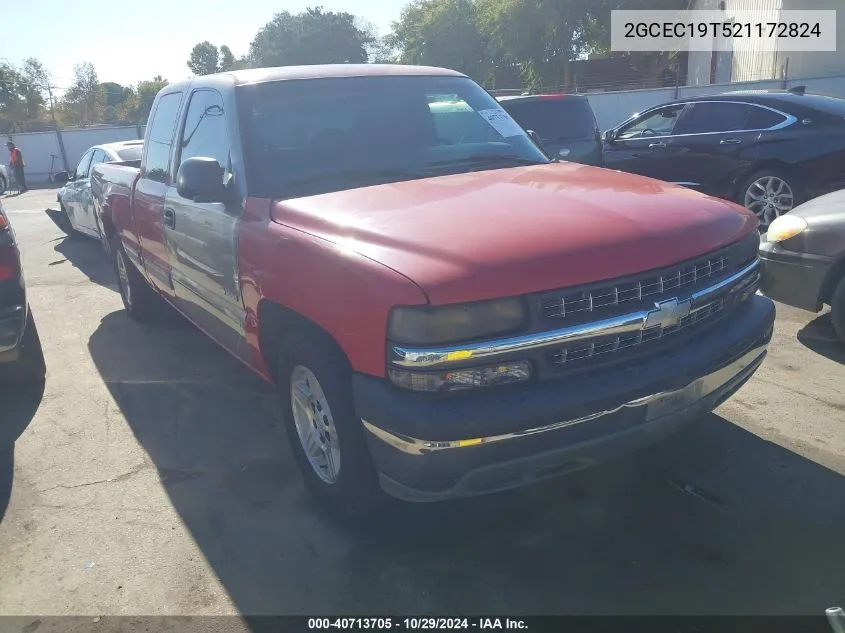 2002 Chevrolet Silverado 1500 Ls VIN: 2GCEC19T521172824 Lot: 40713705