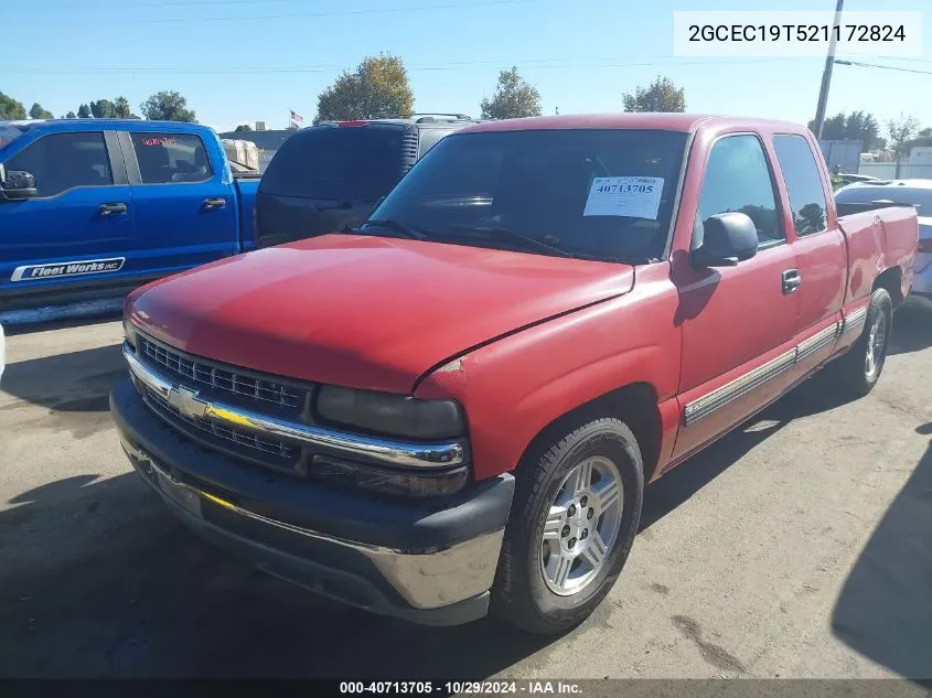 2002 Chevrolet Silverado 1500 Ls VIN: 2GCEC19T521172824 Lot: 40713705