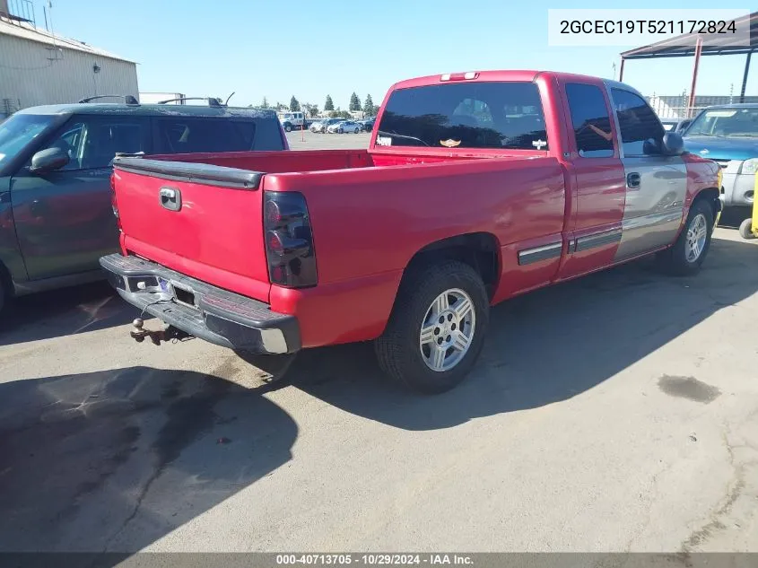 2002 Chevrolet Silverado 1500 Ls VIN: 2GCEC19T521172824 Lot: 40713705