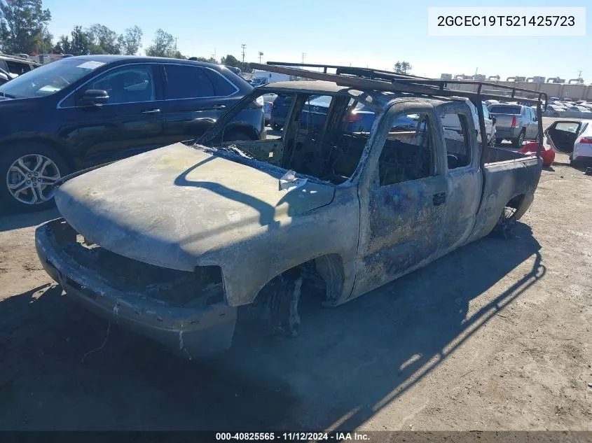 2002 Chevrolet Silverado 1500 Ls VIN: 2GCEC19T521425723 Lot: 40825565