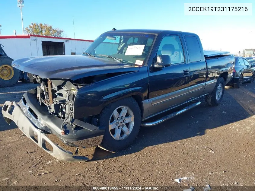 2003 Chevrolet Silverado 1500 Ls VIN: 2GCEK19T231175216 Lot: 40819455