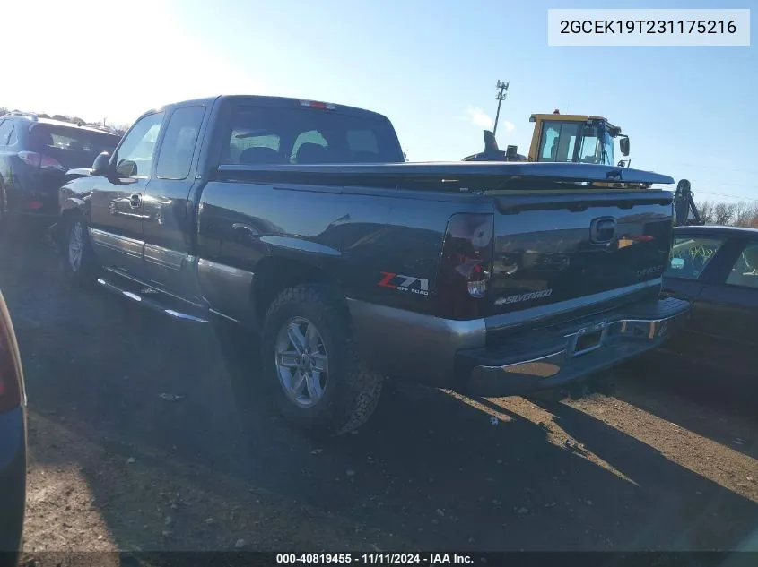 2003 Chevrolet Silverado 1500 Ls VIN: 2GCEK19T231175216 Lot: 40819455