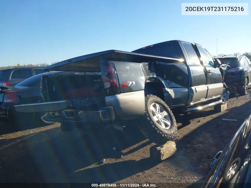 2003 Chevrolet Silverado 1500 Ls VIN: 2GCEK19T231175216 Lot: 40819455