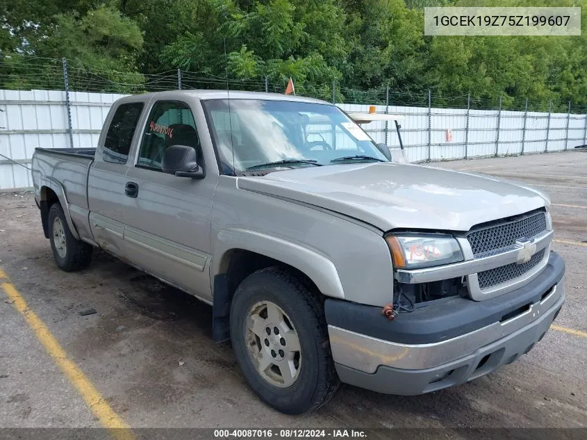 2005 Chevrolet Silverado 1500 Z71 VIN: 1GCEK19Z75Z199607 Lot: 40087016