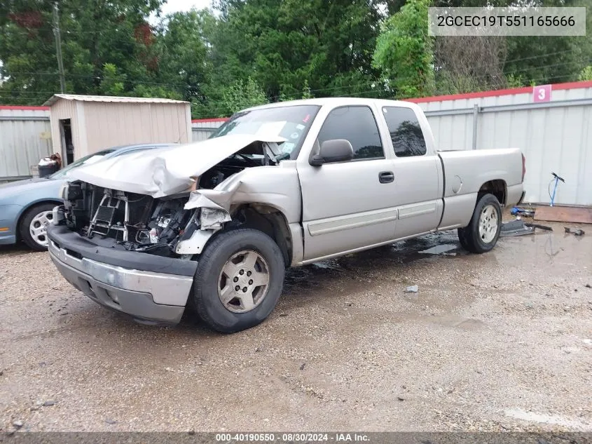 2005 Chevrolet Silverado 1500 Ls VIN: 2GCEC19T551165666 Lot: 40190550