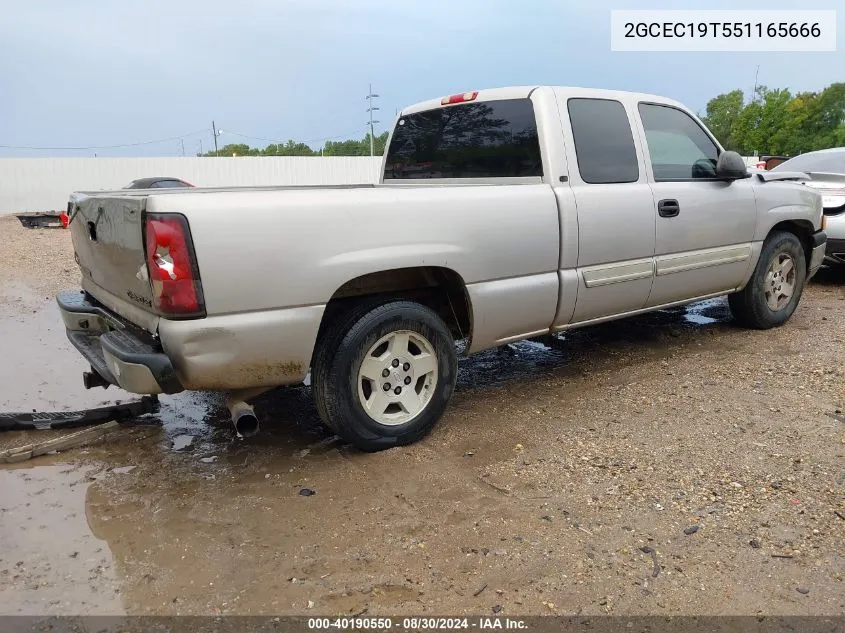 2005 Chevrolet Silverado 1500 Ls VIN: 2GCEC19T551165666 Lot: 40190550