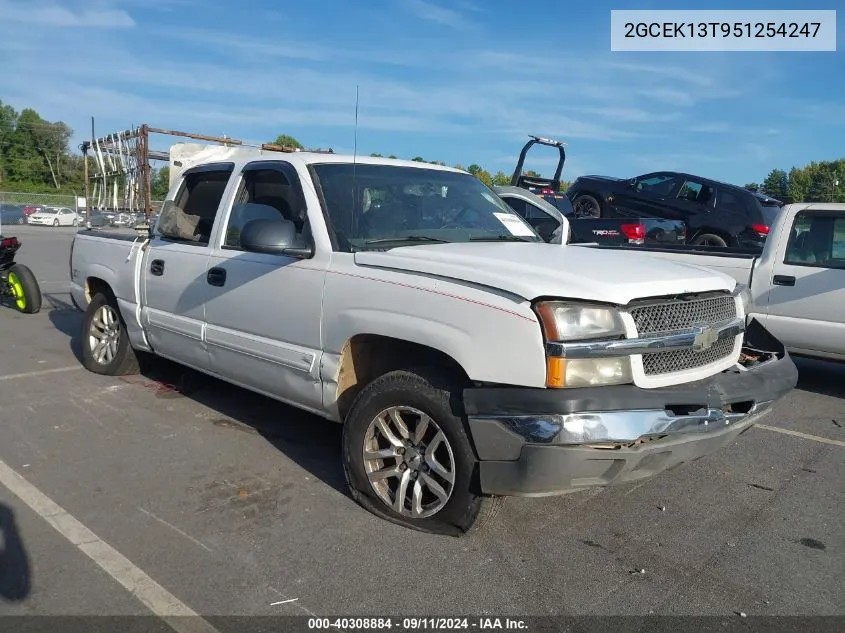 2005 Chevrolet Silverado K1500 VIN: 2GCEK13T951254247 Lot: 40308884