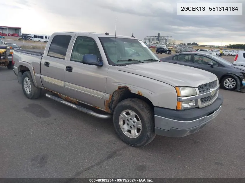 2005 Chevrolet Silverado 1500 Z71 VIN: 2GCEK13T551314184 Lot: 40389234