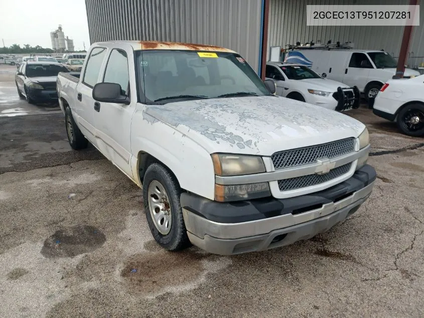 2005 Chevrolet Silverado 1500 Ls VIN: 2GCEC13T951207281 Lot: 40407560