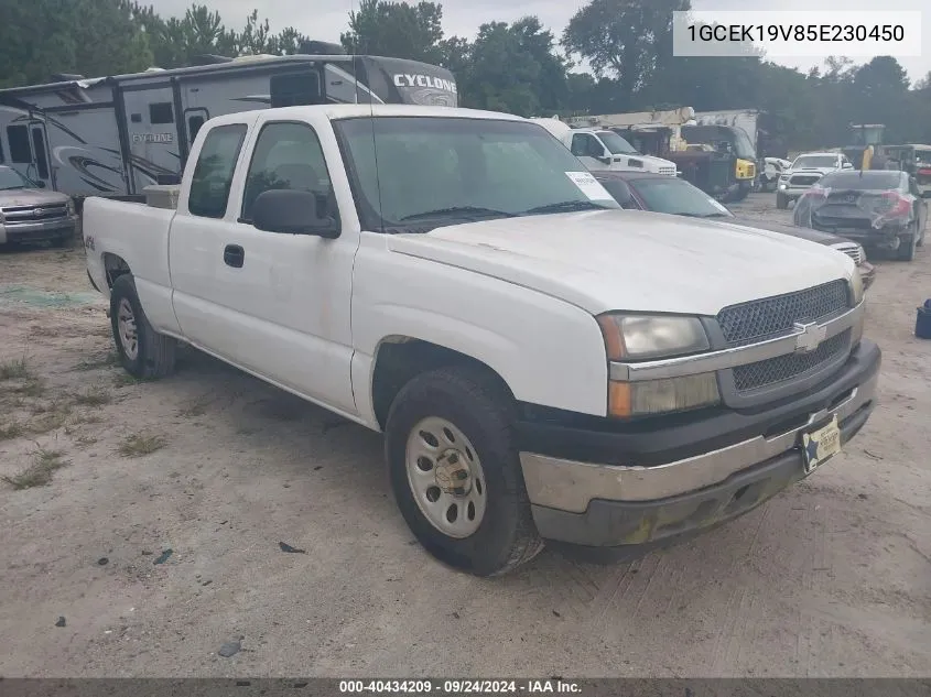 2005 Chevrolet Silverado 1500 Work Truck VIN: 1GCEK19V85E230450 Lot: 40434209