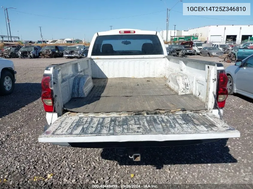 2005 Chevrolet Silverado VIN: 1GCEK14T25Z346810 Lot: 40449499