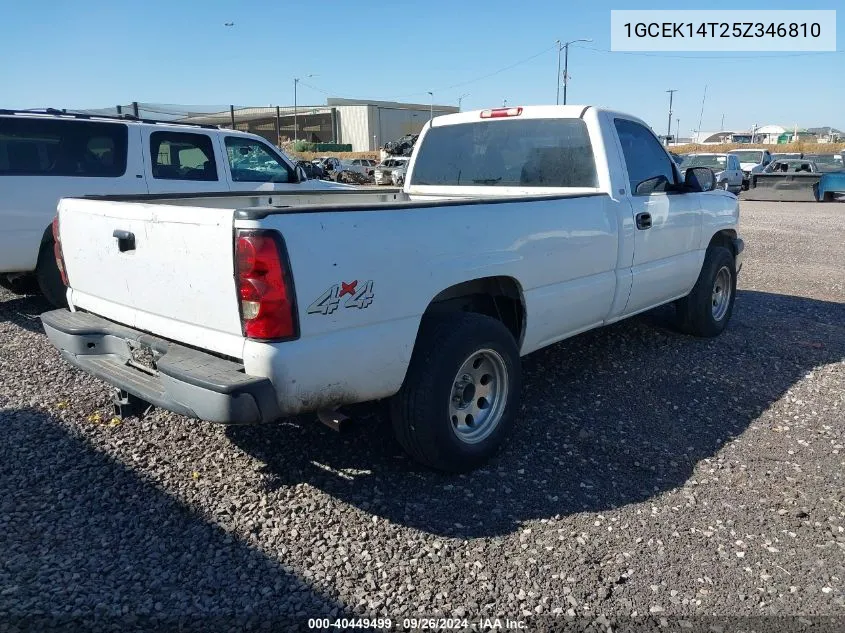 2005 Chevrolet Silverado VIN: 1GCEK14T25Z346810 Lot: 40449499