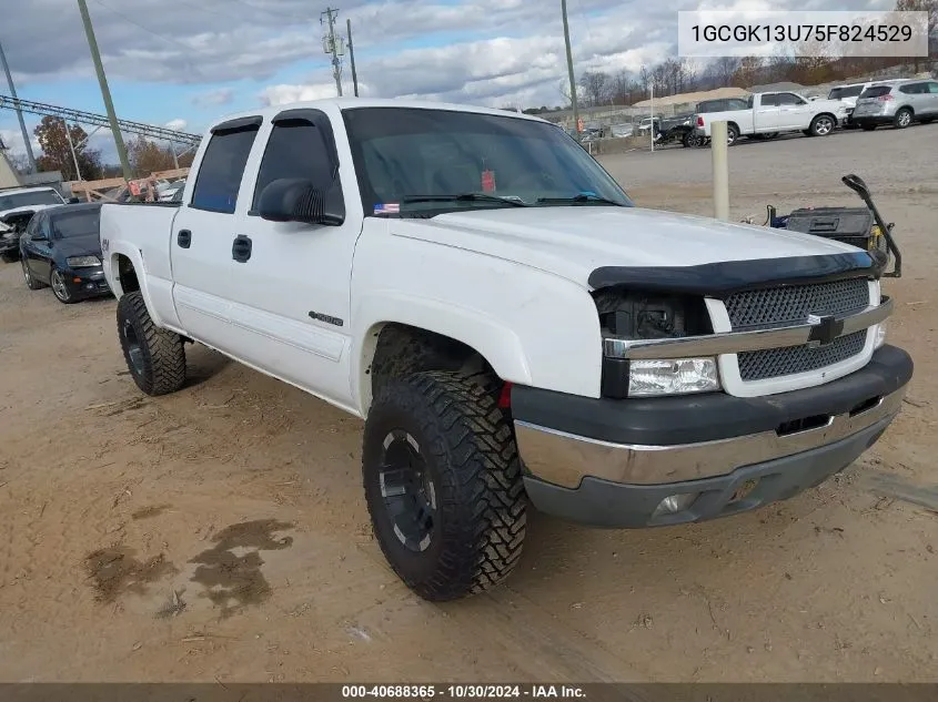 2005 Chevrolet Silverado 1500Hd Ls VIN: 1GCGK13U75F824529 Lot: 40688365