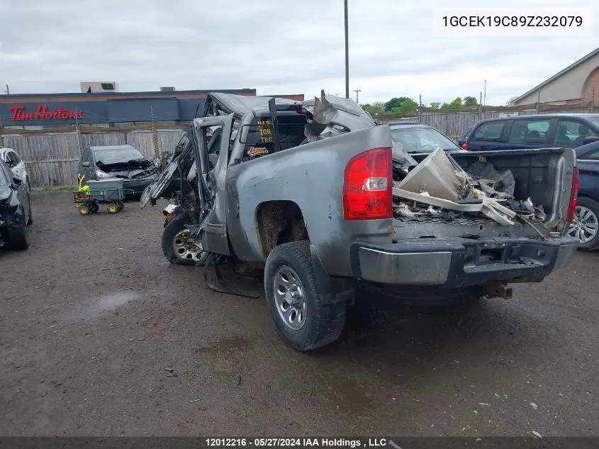 2009 Chevrolet Silverado 1500 VIN: 1GCEK19C89Z232079 Lot: 12012216