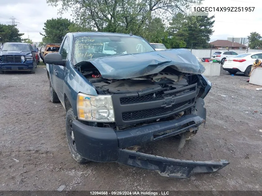 2009 Chevrolet Silverado 1500 VIN: 1GCEC14X99Z251957 Lot: 12094568