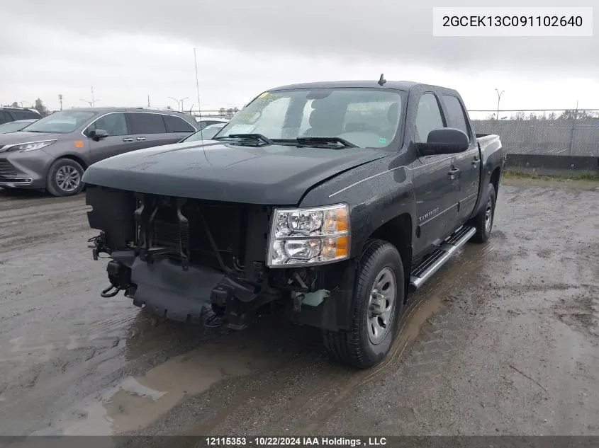 2GCEK13C091102640 2009 Chevrolet Silverado 1500