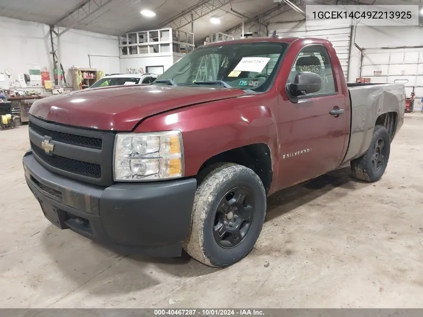 2009 Chevrolet Silverado K1500 VIN: 1GCEK14C49Z213925 Lot: 40467287