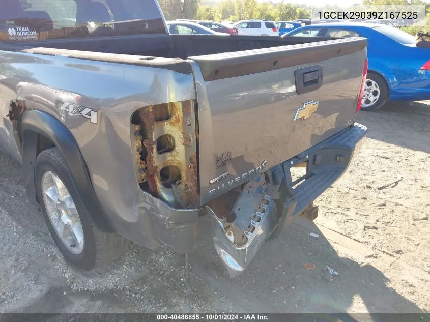 1GCEK29039Z167525 2009 Chevrolet Silverado 1500 K1500 Lt