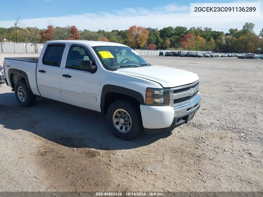 2009 Chevrolet Silverado 1500 Lt VIN: 2GCEK23C091136289 Lot: 40583336