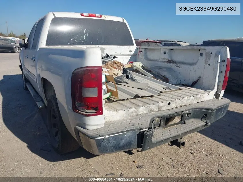 2009 Chevrolet Silverado 1500 Lt VIN: 3GCEK23349G290480 Lot: 40684361