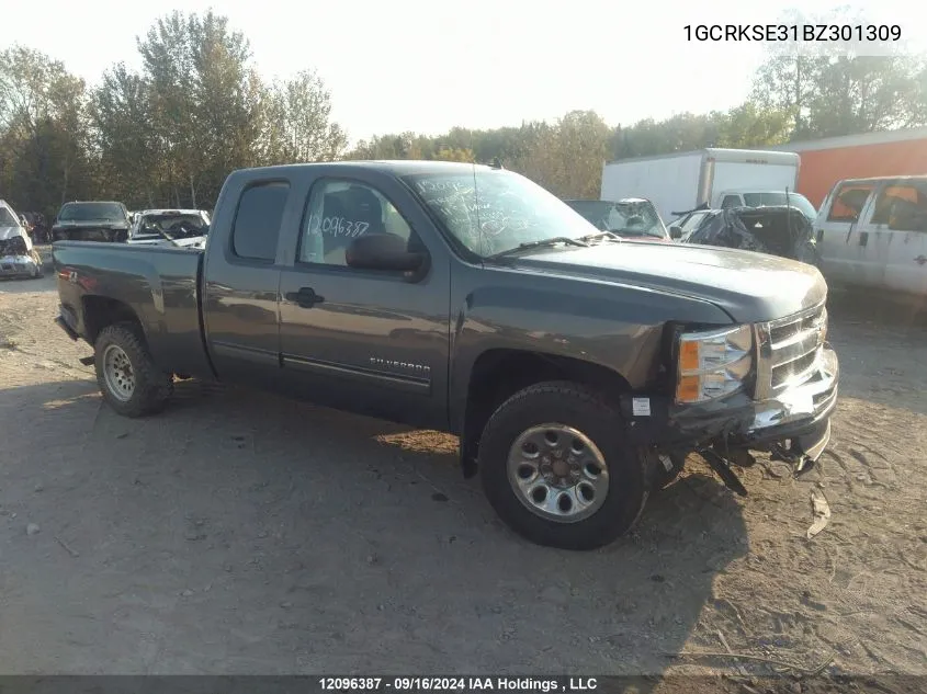 2011 Chevrolet Silverado 1500 VIN: 1GCRKSE31BZ301309 Lot: 12096387