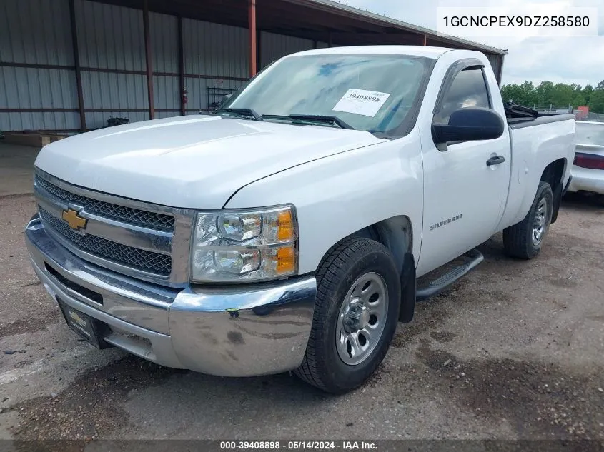 2013 Chevrolet Silverado 1500 Work Truck VIN: 1GCNCPEX9DZ258580 Lot: 39408898