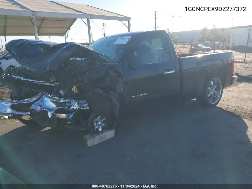 2013 Chevrolet Silverado 1500 Work Truck VIN: 1GCNCPEX9DZ277372 Lot: 40762275