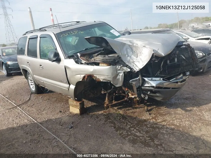 2002 Chevrolet Tahoe Lt VIN: 1GNEK13Z12J125058 Lot: 40273356