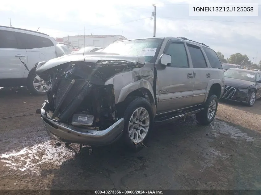 2002 Chevrolet Tahoe Lt VIN: 1GNEK13Z12J125058 Lot: 40273356