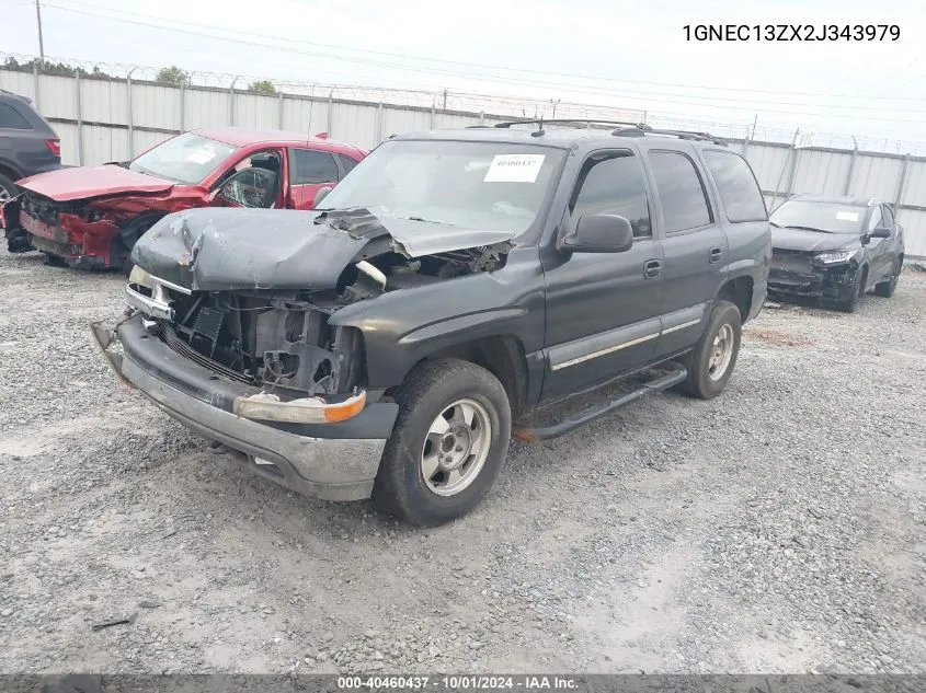 2002 Chevrolet Tahoe C1500 VIN: 1GNEC13ZX2J343979 Lot: 40460437