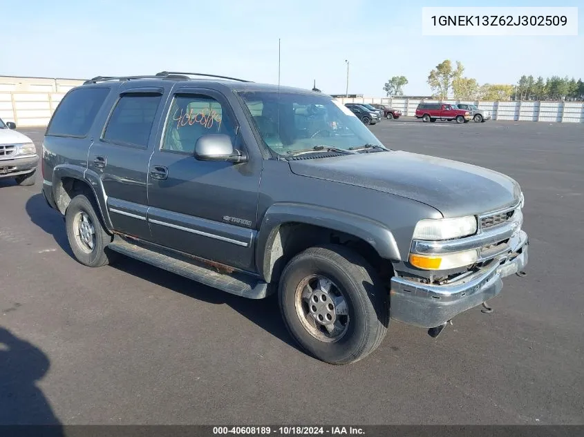 2002 Chevrolet Tahoe Lt VIN: 1GNEK13Z62J302509 Lot: 40608189