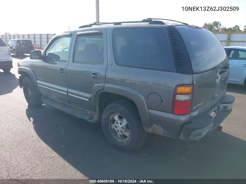 2002 Chevrolet Tahoe Lt VIN: 1GNEK13Z62J302509 Lot: 40608189