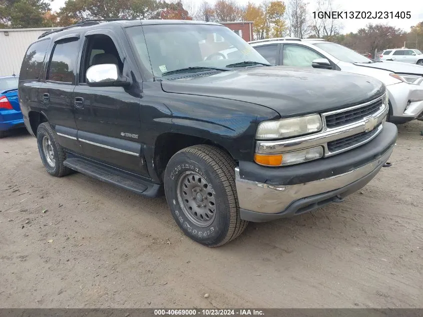 2002 Chevrolet Tahoe Lt VIN: 1GNEK13Z02J231405 Lot: 40669000