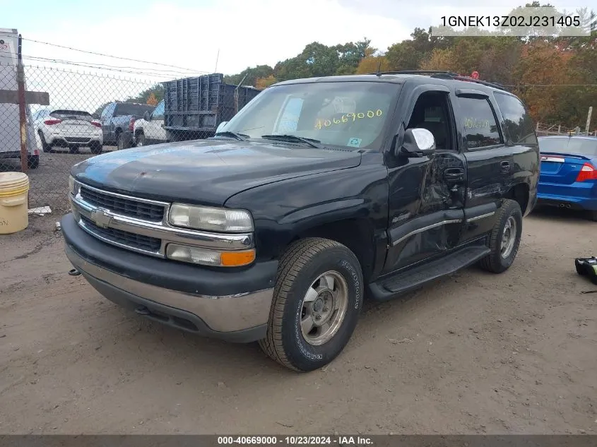 2002 Chevrolet Tahoe Lt VIN: 1GNEK13Z02J231405 Lot: 40669000