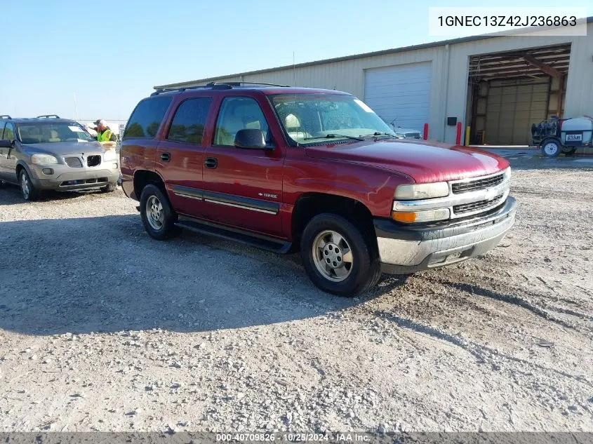 2002 Chevrolet Tahoe Ls VIN: 1GNEC13Z42J236863 Lot: 40709826