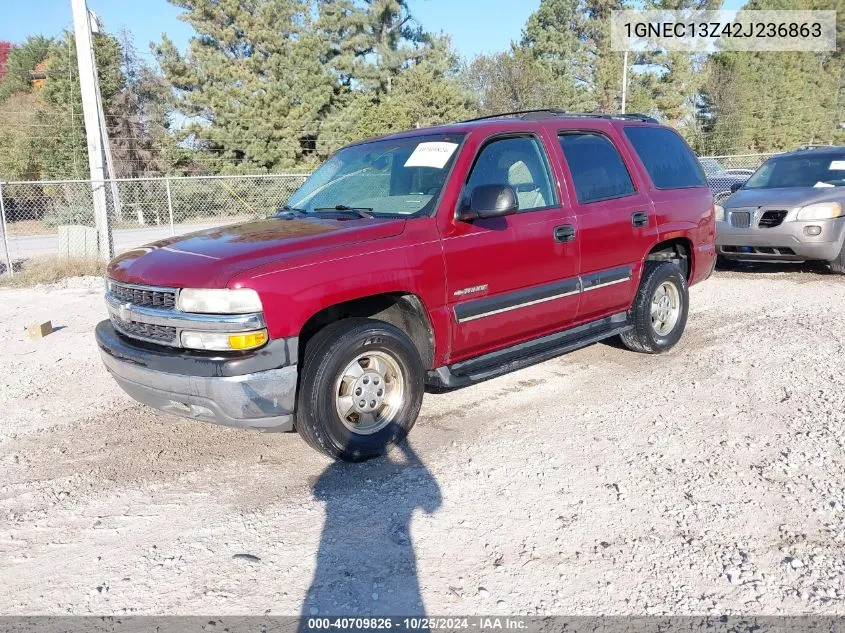 2002 Chevrolet Tahoe Ls VIN: 1GNEC13Z42J236863 Lot: 40709826