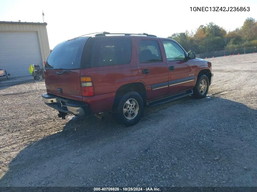 2002 Chevrolet Tahoe Ls VIN: 1GNEC13Z42J236863 Lot: 40709826