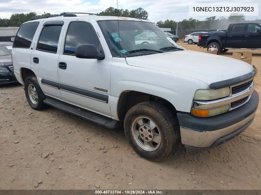 2002 Chevrolet Tahoe Ls VIN: 1GNEC13Z12J307923 Lot: 40733704